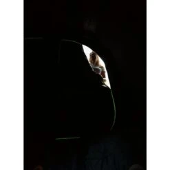 Coleman Valdes Deluxe 4xl Air Blackout Tent -Outlet Camping Store 2000037563 16